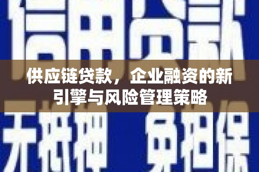 汐止供应链贷款，企业融资的新引擎与风险管理策略