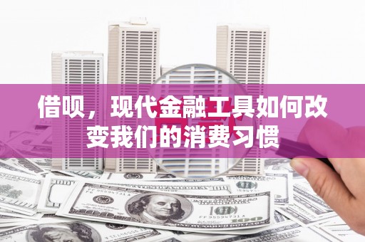 汐止借呗，现代金融工具如何改变我们的消费习惯