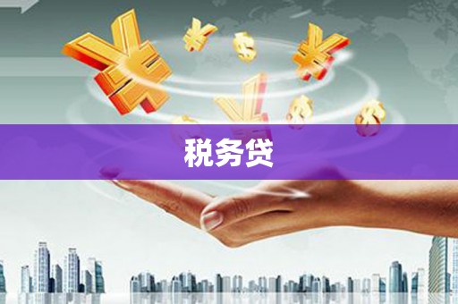汐止税务贷
