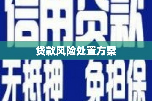 汐止贷款风险处置方案