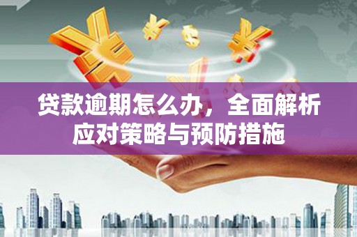 汐止贷款逾期怎么办，全面解析应对策略与预防措施