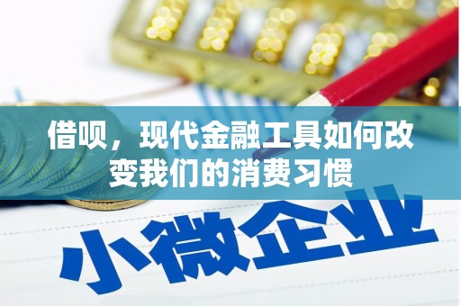 汐止借呗，现代金融工具如何改变我们的消费习惯