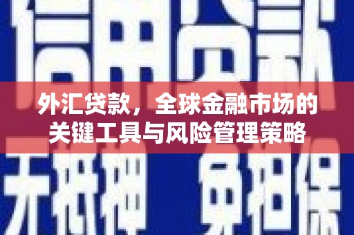 汐止外汇贷款，全球金融市场的关键工具与风险管理策略