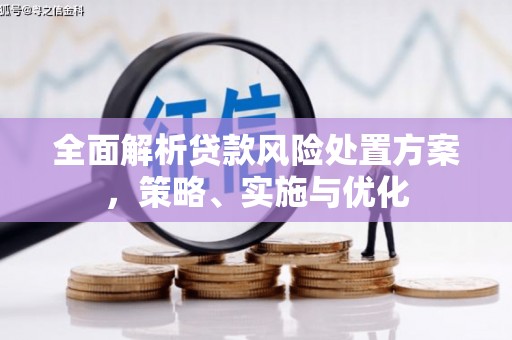汐止全面解析贷款风险处置方案，策略、实施与优化