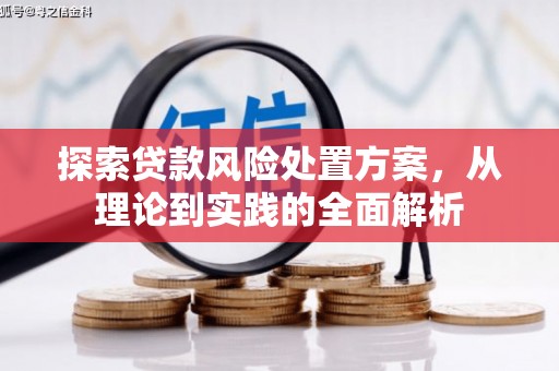 汐止探索贷款风险处置方案，从理论到实践的全面解析