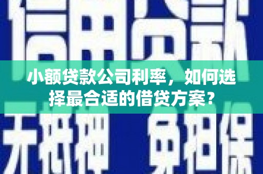 汐止小额贷款公司利率，如何选择最合适的借贷方案？