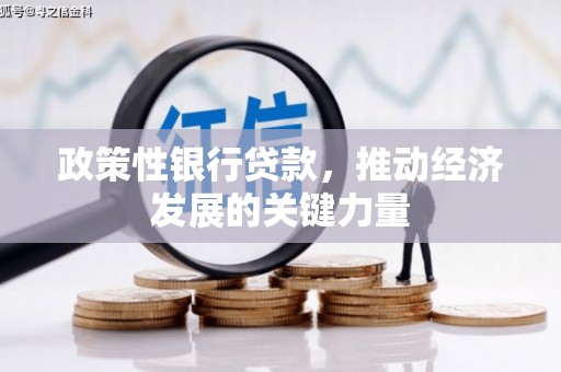 汐止政策性银行贷款，推动经济发展的关键力量
