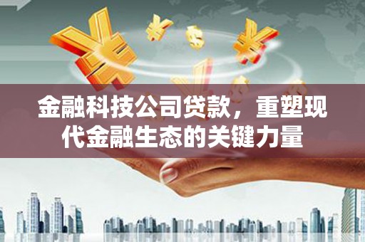 汐止金融科技公司贷款，重塑现代金融生态的关键力量