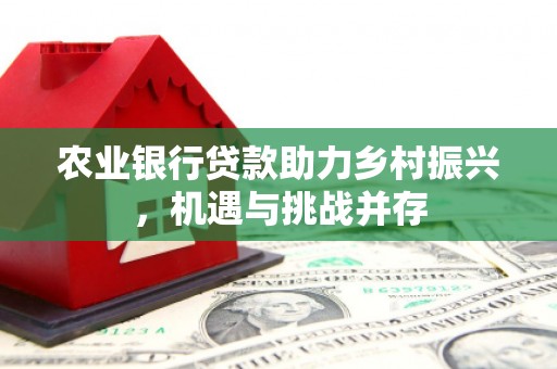 汐止农业银行贷款助力乡村振兴，机遇与挑战并存