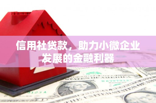 汐止信用社贷款，助力小微企业发展的金融利器