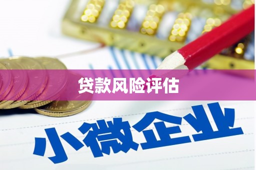 汐止贷款风险评估