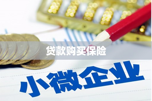 汐止贷款购买保险