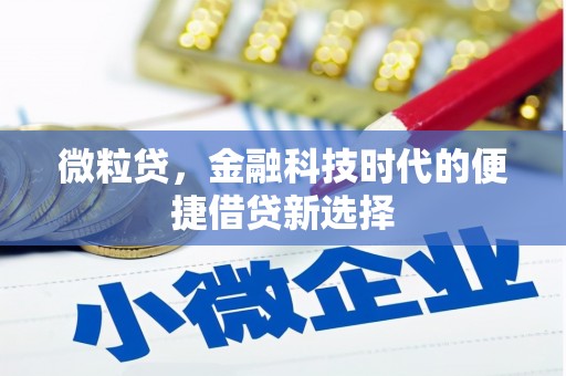 汐止微粒贷，金融科技时代的便捷借贷新选择