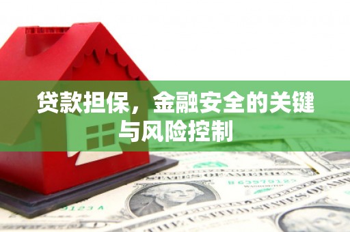 汐止贷款担保，金融安全的关键与风险控制