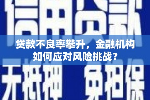 汐止贷款不良率攀升，金融机构如何应对风险挑战？