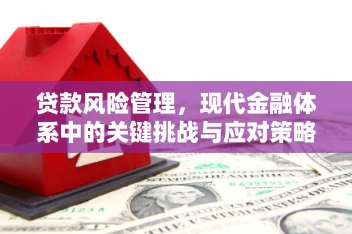 汐止贷款风险管理，现代金融体系中的关键挑战与应对策略