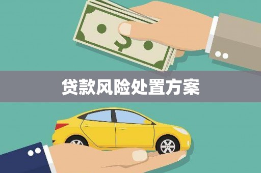 汐止贷款风险处置方案