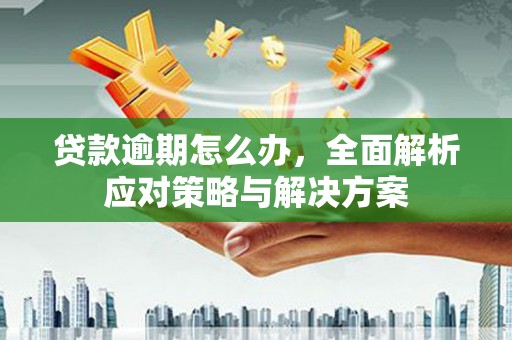 汐止贷款逾期怎么办，全面解析应对策略与解决方案