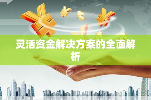 汐止灵活资金解决方案的全面解析
