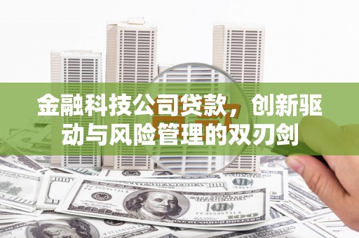 汐止金融科技公司贷款，创新驱动与风险管理的双刃剑
